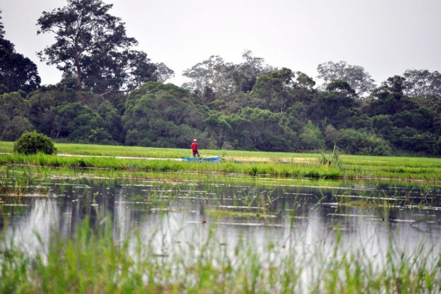 After years of 'hype', the market for carbon credits shows signs of recovery