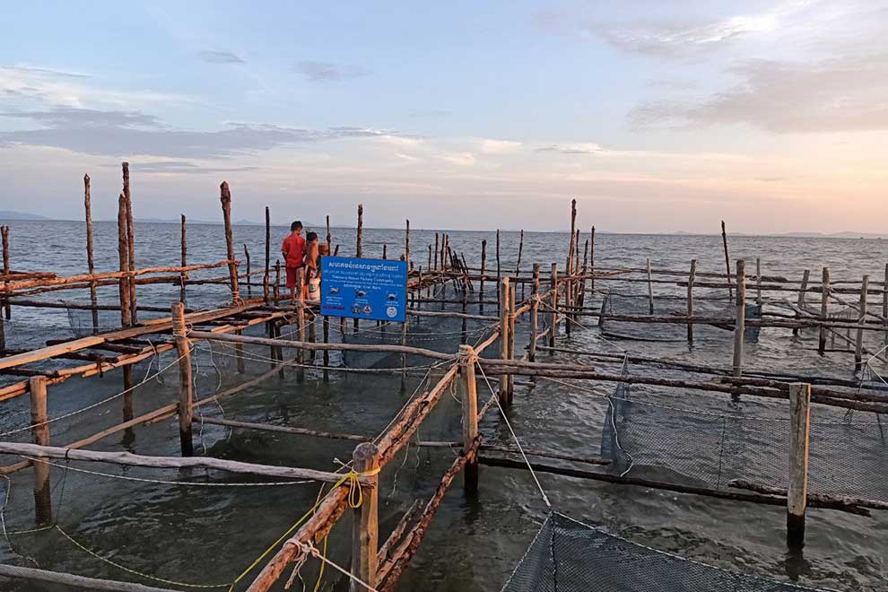 Crab banks: A five-tonne daily withdrawal to satisfy a nation