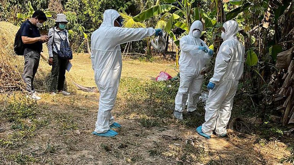 Cambodia says recent bird flu cases not spread by humans