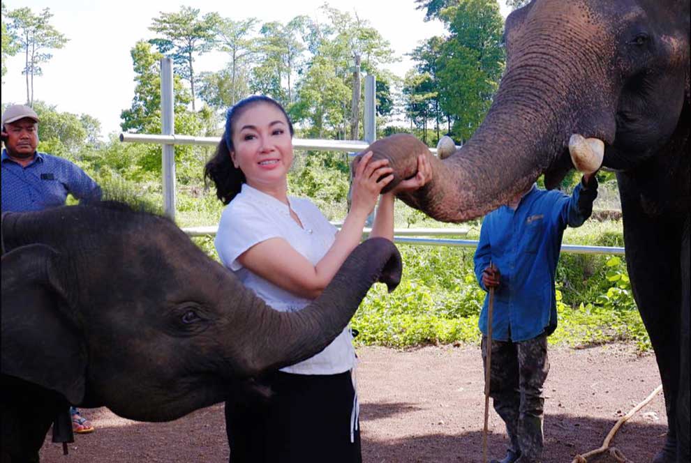 A desperate call to support Cambodia&rsquo;s elephants